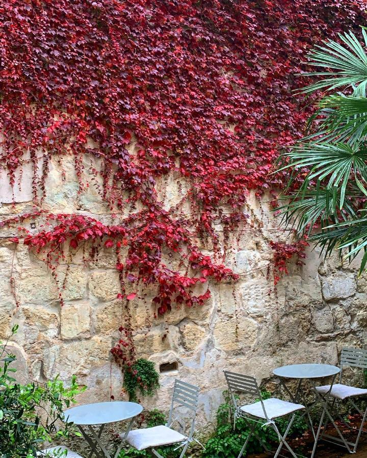 B&B La Maison Galiene Μπορντό Εξωτερικό φωτογραφία